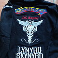 LYNYRD SKYNYRD - Hooded Top / Sweater - LYNYRD SKYNYRD Southern Bands 2