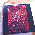 Kreator - Tape / Vinyl / CD / Recording etc - Kreator Pleasure To Kill LP