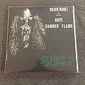 Blast - Tape / Vinyl / CD / Recording etc - Blast - Hope | Damned Flame Vinyl 45 Rerelease