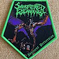 Scattered Remnants - Patch - Scattered Remnants Inherent Perversion