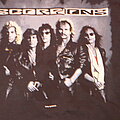 Scorpions - TShirt or Longsleeve - Scorpions Crazy world longsleeve
