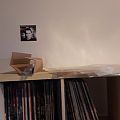 Different Bands - Tape / Vinyl / CD / Recording etc - My vinyl collection