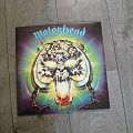 Motörhead - Tape / Vinyl / CD / Recording etc - Motorhead Overkill Vinyl