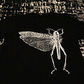 The Locust - TShirt or Longsleeve - The Locust t-shirt