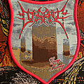 Disgrace - Patch - Disgrace Grey Misery