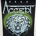 Accept - Patch - Accept - Im a Rebel backpatch