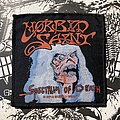 Morbid Saint - Patch - Morbid Saint - Spectrum of Death woven patch