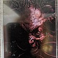 Stabbing - Tape / Vinyl / CD / Recording etc - Stabbing - Ravenous Psychotic Onslaught Cassette Tape