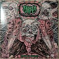 Broken Hope - Tape / Vinyl / CD / Recording etc - Broken Hope - Omen Of Disease Vinyl