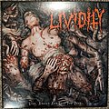 Lividity - Tape / Vinyl / CD / Recording etc - Lividity - Used, Abused, And Left For Dead Reissue Vinyl