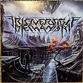 Irreversible Mechanism - Tape / Vinyl / CD / Recording etc - Irreversible Mechanism - Infinite Fields Vinyl