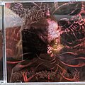 Stabbing - Tape / Vinyl / CD / Recording etc - Stabbing - Ravenous Psychotic Onslaught Cd