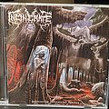 INCINERATE - Tape / Vinyl / CD / Recording etc - Incinerate - Eradicating Terrestrial Species Cd