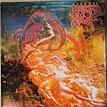 Morbid Angel - Tape / Vinyl / CD / Recording etc - Morbid Angel - Blessed Are The Sick Vinyl