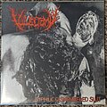 Vulvectomy - Tape / Vinyl / CD / Recording etc - Vulvectomy - Syphilic Dismembered Slut Vinyl