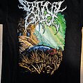 Septycal Gorge - TShirt or Longsleeve - Septycal Gorge - Growing Seeds Of Decay Short Sleeve