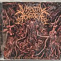 Visceral Disgorge - Tape / Vinyl / CD / Recording etc - Visceral Disgorge - Ingesting Putridity Cd