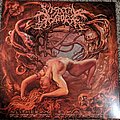 Visceral Disgorge - Tape / Vinyl / CD / Recording etc - Visceral Disgorge Slithering Evisceration Vinyl