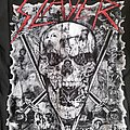 Slayer - Hooded Top / Sweater - Slayer - Sword Skull Zipper Hoodie