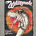 Whitesnake - Patch - Whitesnake Slide It In