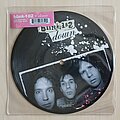 Blink-182 - Tape / Vinyl / CD / Recording etc - Blink-182 Blink - 182 - Down 7" Ltd Edt  Pic Disc (2004)