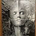 Sentenced - Other Collectable - Sentenced - Frozen poster