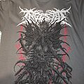 Ingested - TShirt or Longsleeve - Ingested europe tour 2023