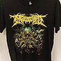 Ingested - TShirt or Longsleeve - Ingested STBOHS European Tour 2019