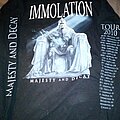 Immolation - TShirt or Longsleeve - Immolation Purge the World LS
