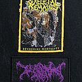 Skeletal Remains - Patch - Skeletal Remains & Worm patches for 1000daysofsodom