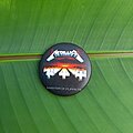 Metallica - Pin / Badge - Metallica - Master of Puppets pin