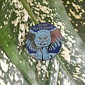 Rush - Pin / Badge - Rush - Fly By Night pin