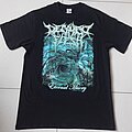 Decayed Flesh - TShirt or Longsleeve - Decayed Flesh Eternal Misery