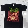 Vulvectomy - TShirt or Longsleeve - VULVECTOMY Putrescent Clitoral Fermentation shortsleeve shirt