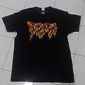 Disgorge - TShirt or Longsleeve - DISGORGE shortsleeve shirt