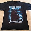 Dimmu Borgir - TShirt or Longsleeve -  Dimmu Borgir - Stormblast MMV TS