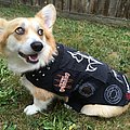 Rotting Christ - Battle Jacket - Metal corgi in her little battle vest