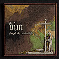 Dim - Patch - DIM - Steeped Sky, Stained Light Patch