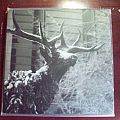 Agalloch - Tape / Vinyl / CD / Recording etc - AGALLOCH  - The Mantle VINYL LP grey