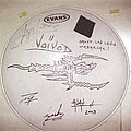 Voivod - Other Collectable - Voivod Away drum head signed & sketched