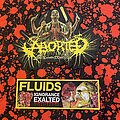 Aborted - Patch - Aborted Patches for Skizus part 2