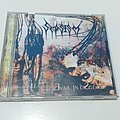 Sepsism - Tape / Vinyl / CD / Recording etc - Sepsism - To Prevail In Disgust