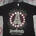 Decapitated - TShirt or Longsleeve - Decapitated - Sphere of Madness