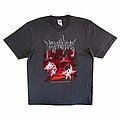 Immolation - TShirt or Longsleeve - Immolation - Dawn of Possession (Grey)