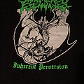 Scattered Remnants - TShirt or Longsleeve - Scattered Remnants- Inherent Perversion Ls