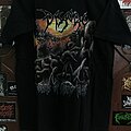 Disgorge - TShirt or Longsleeve - Disgorge Parallels of Infinite Torture - Torturing Australia & New Zealand