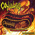 Convulsis - Patch - Convulsis - Campfire Pyre