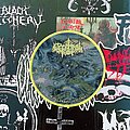 Cerebral Rot - Patch - Cerebral Rot patch