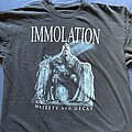 Immolation - TShirt or Longsleeve - Immolation: Majesty and decay TS