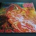 Morbid Angel - Tape / Vinyl / CD / Recording etc - Morbid Angel Blessed Are The Sick Vinyl